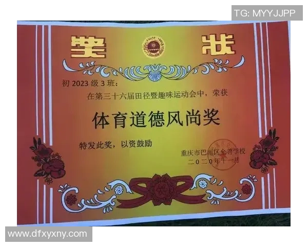 香港运动员奋斗历程与成就展示：勇敢拼搏书写辉煌人生